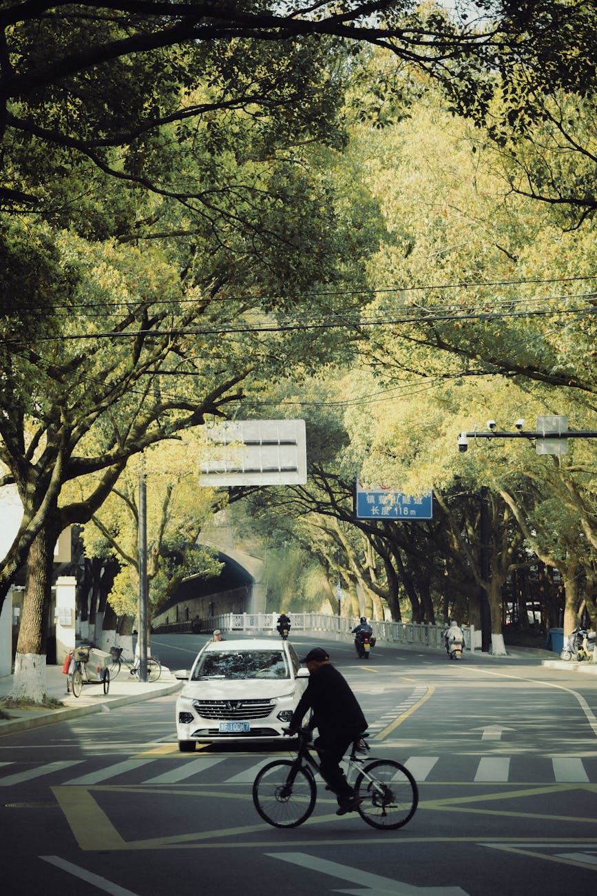 Case Studies in Sustainable Urban Development